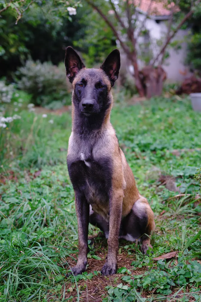 DSCF3529.webp