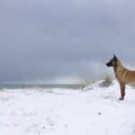 Photographer: Ignace72 Canon EOS 500D 2010-12-02 13:19:17 Copyright:Ignace72 f/4.5 1/200sec ISO-100 50mm